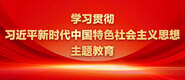 操操操操操操操操骚货骚女人骚女人骚女人学习贯彻习近平新时代中国特色社会主义思想主题教育_fororder_ad-371X160(2)